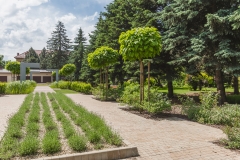 Domus_Mater_Garden_02